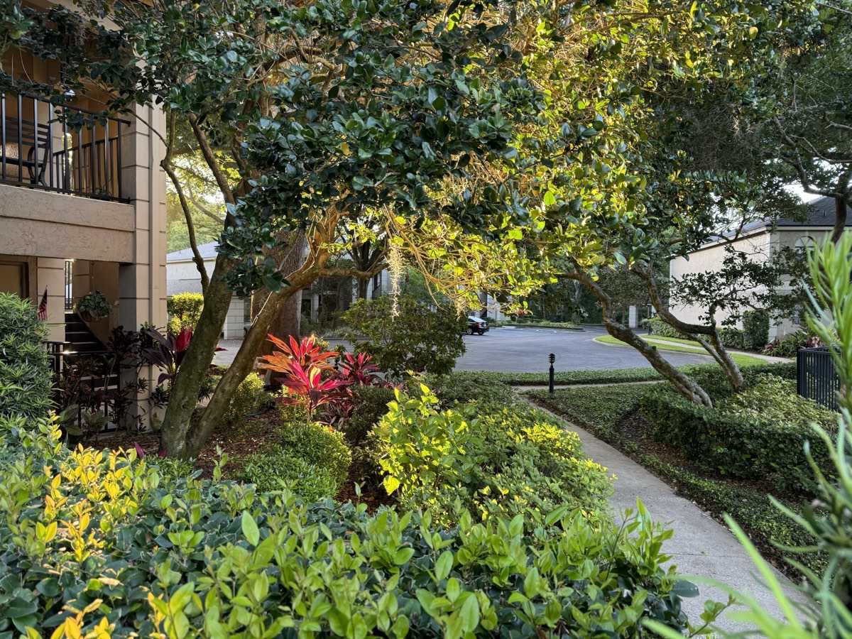 The grounds at Kensington Park Drive